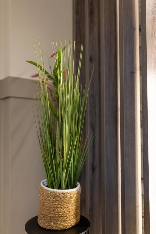 דירות אתונה Noho Boutique , Premium Living Dikeou 8 מראה חיצוני תמונה